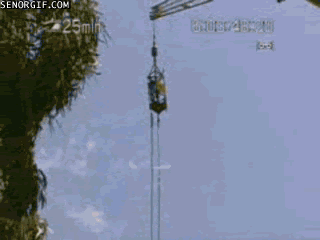 edigator_bungee_jumps, crocodile eats jumper