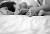 Siesta