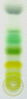 Chromatography of chlorophyll - Step 7.jpg