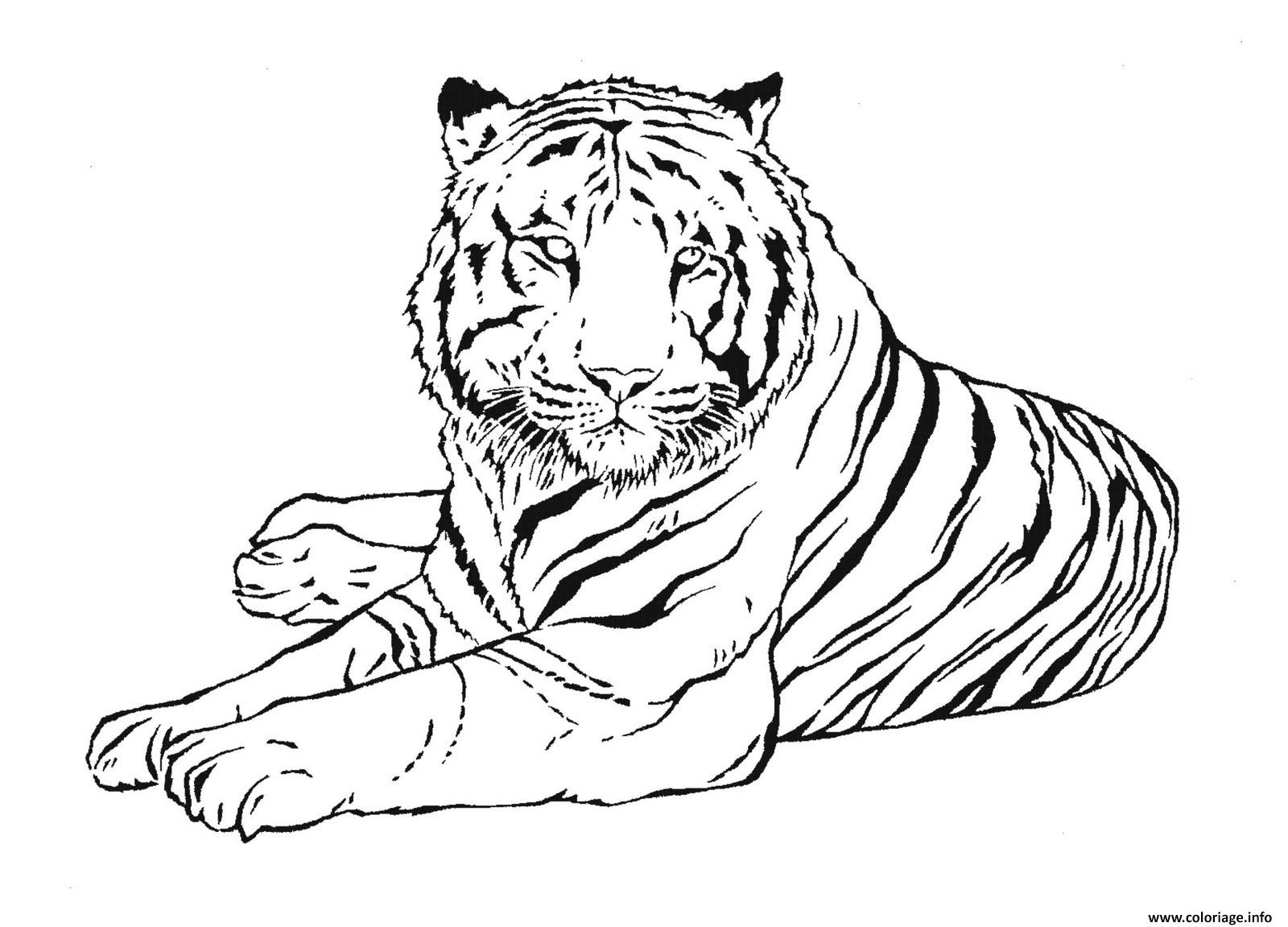 idees pour dessin tigre the vegen princess galerie d&#x00027;inspiration voix visuelles a coloriage de jardin fleuri
