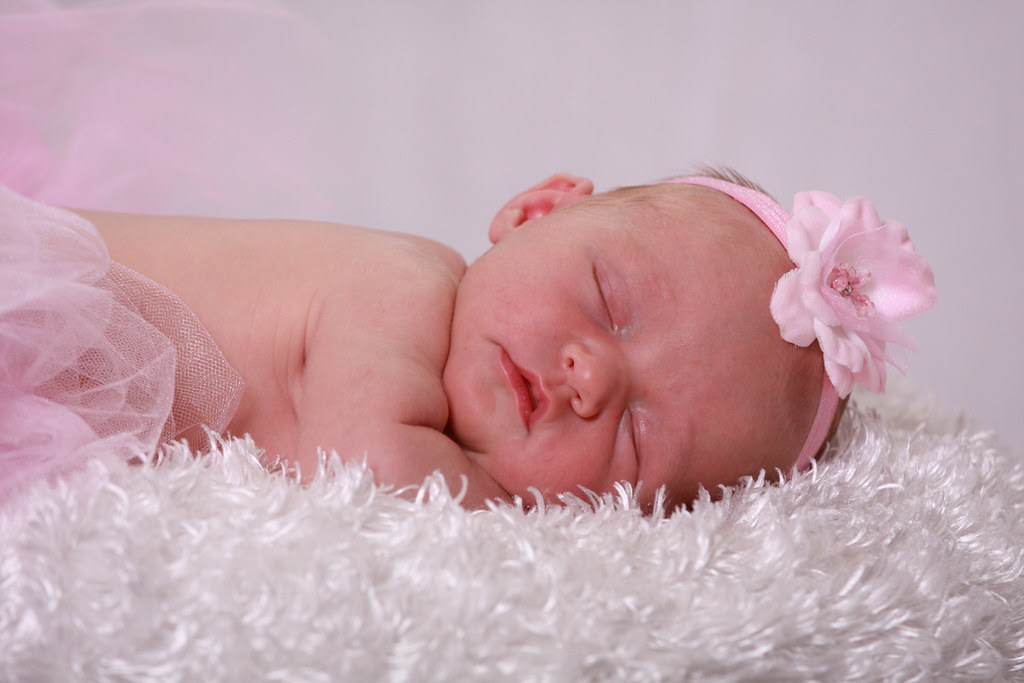 JJC_0237_Resize