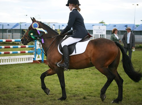 Showjumping