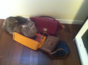 pursesinthekitchen