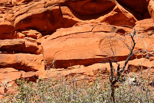 Petroglyphs