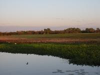 Free Image Hosting at www.ImageShack.us