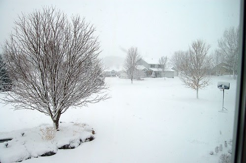 March 21? Shot out my front window...