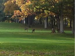 Country Club «Warwick Hills Golf & Country», reviews and photos, 9057 S Saginaw St, Grand Blanc, MI 48439, USA