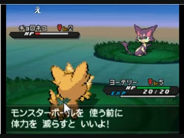 75 ポケモン ブラック 2 色 違い 画像hd