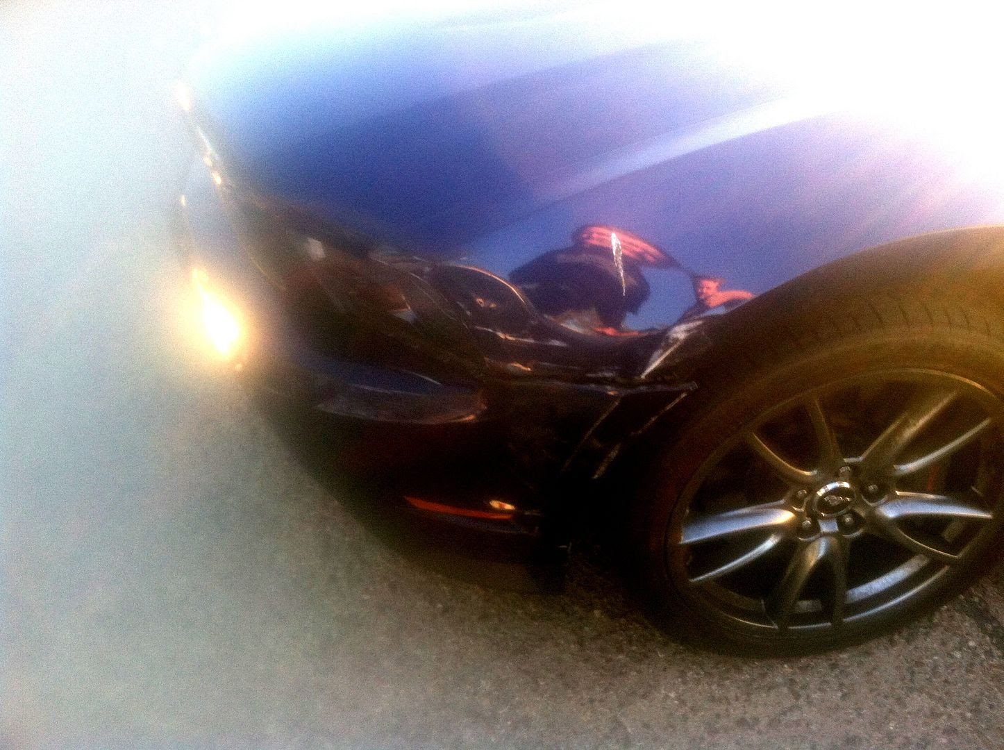 photo Mustang_11-8-14.jpg