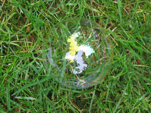 Bubble on Grass