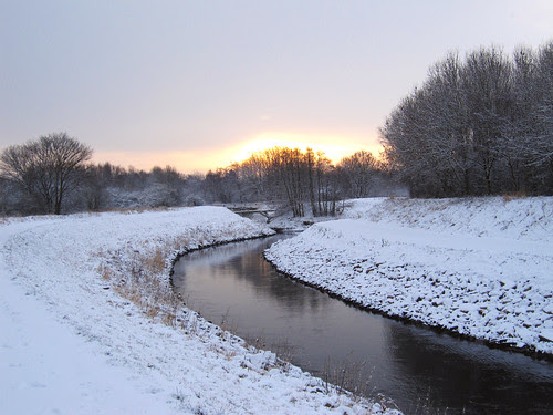 Snowy morning