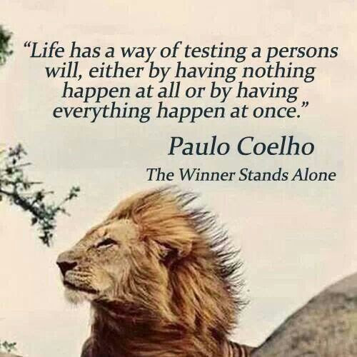 Paulo Coelho Quotes The Winner Stands Alone zitate sprüche weisheiten
