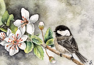 finch watercolour painting
