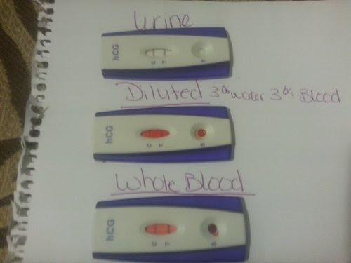 How To Use Blood On Home Pregnancy Test Pregnancy Test Kit
