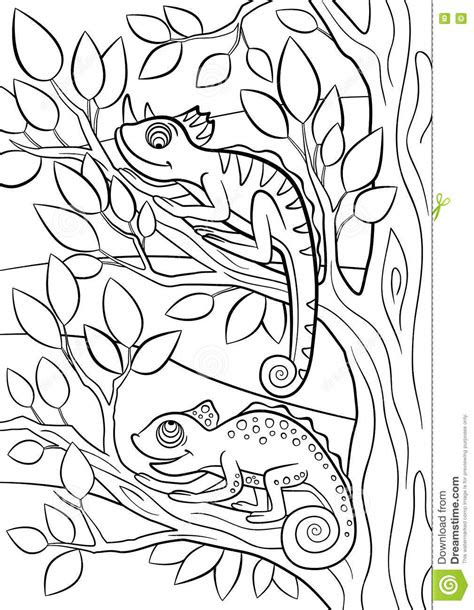 coloring pages wild animals   cute chameleon