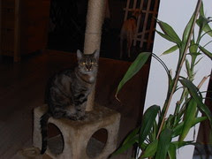 P8100196