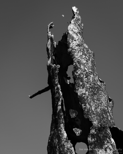 The dark tower The dark tower