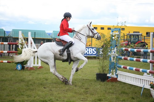 Showjumping