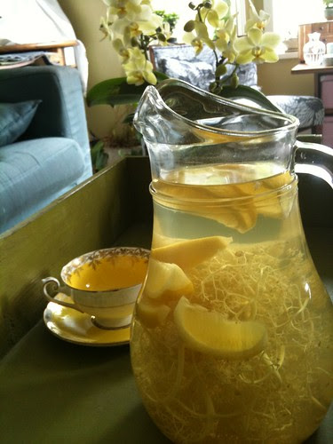 Edlerflower Cordial