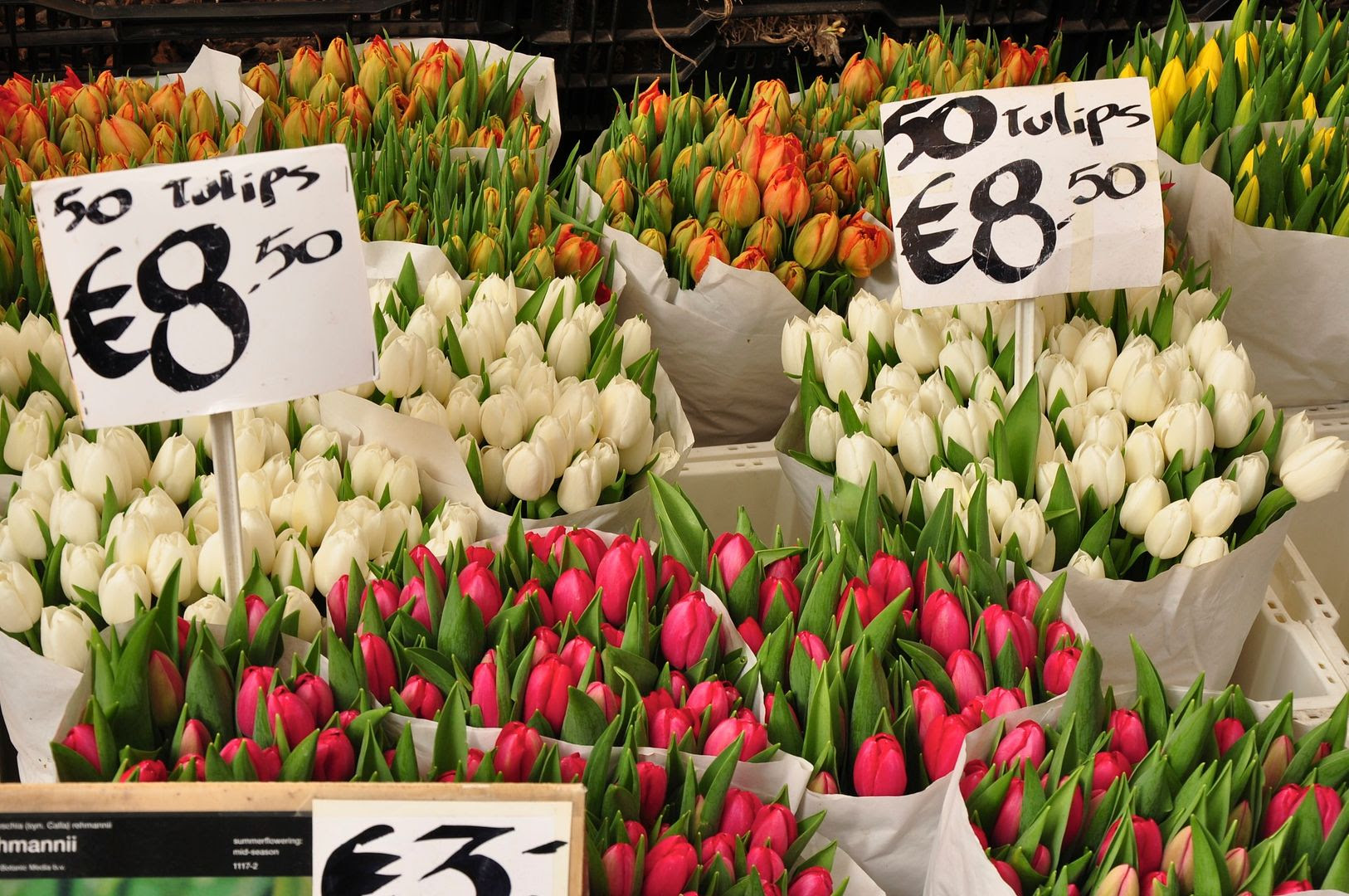 18.04.12, The flower market in Amsterdam.