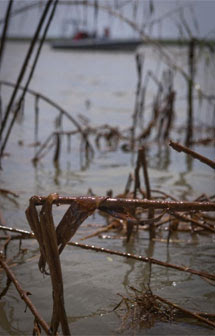 Crudo acumulado en Luisiana. | Reuters