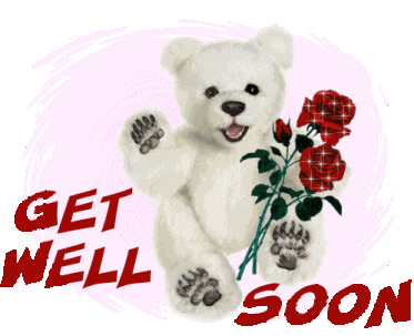 Get Well Soon Bear Red Rose