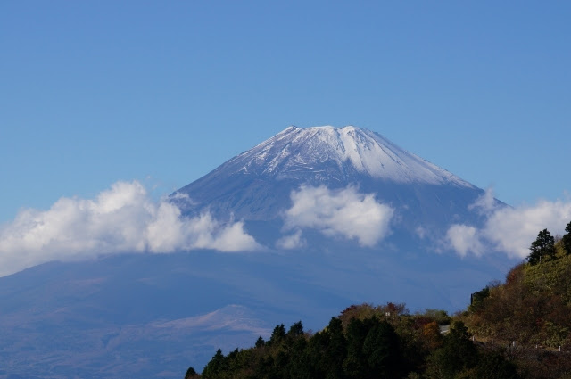20150217 (11)