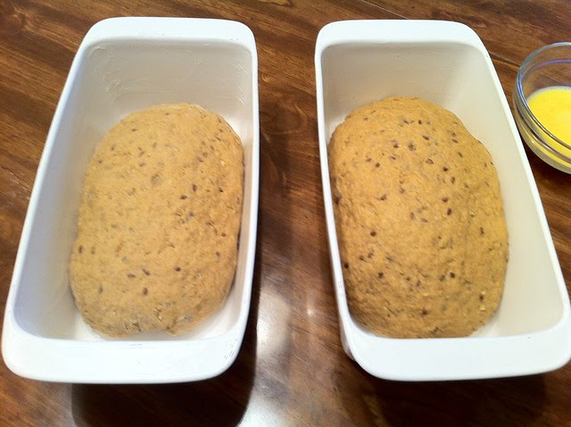 Shaped Loaves in Greased Bread Pans