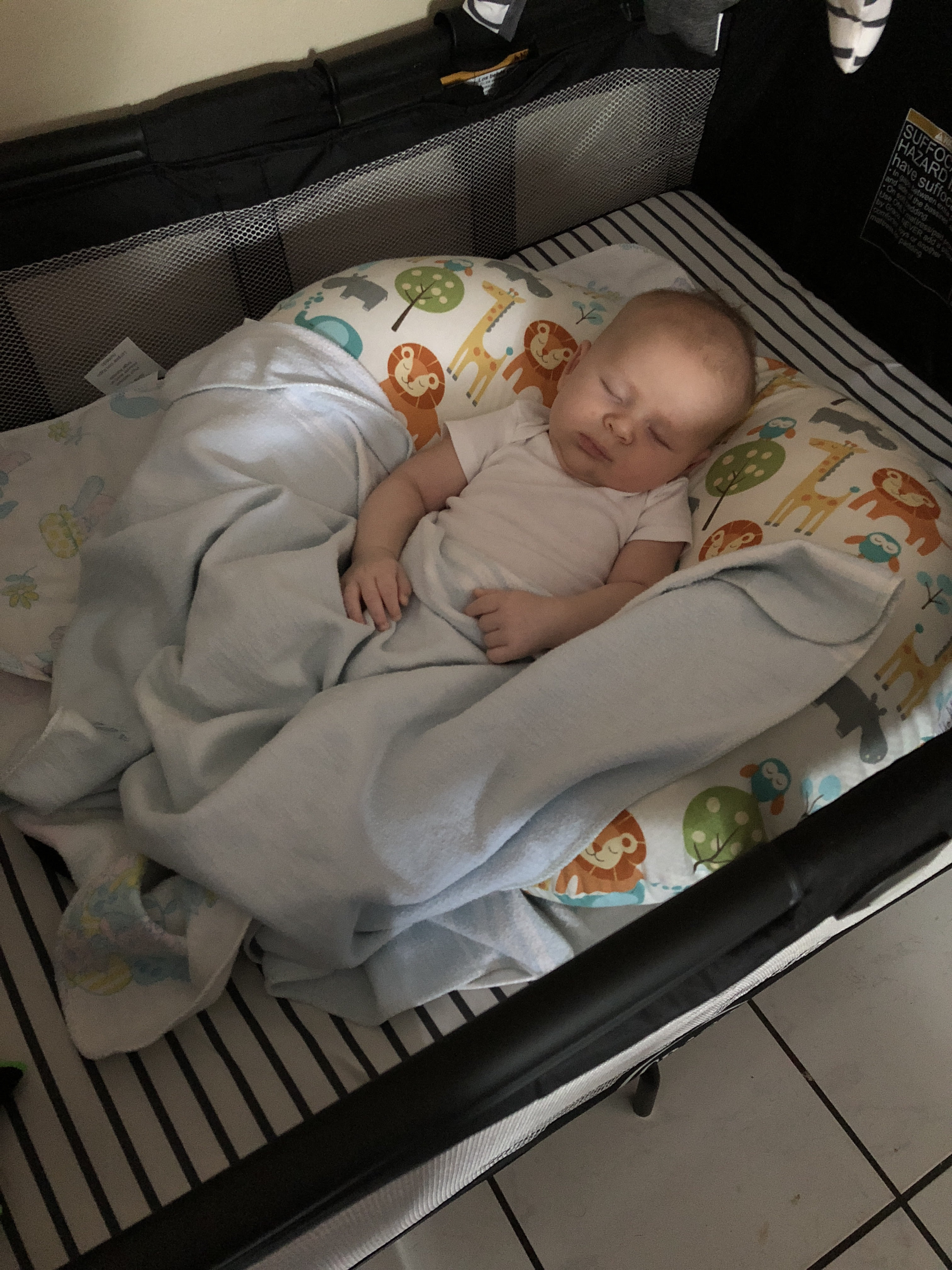 Baby Sleeping In Boppy Newborn Lounger Newborn Baby