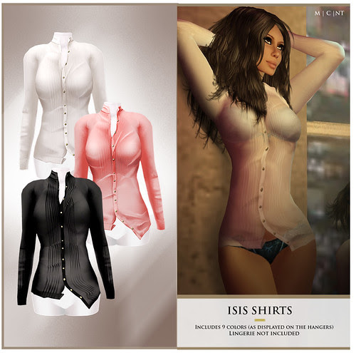 isis blog copy
