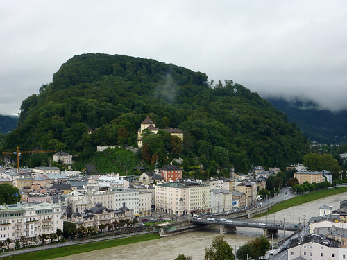 P1030402_bis
