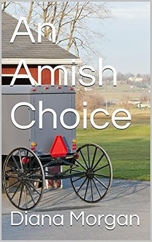  An Amish Choice 