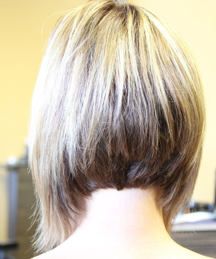 Hairstyles Short Graduated Bob Hairstyles Back View