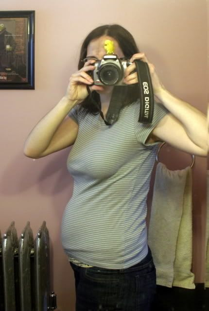 pregnant