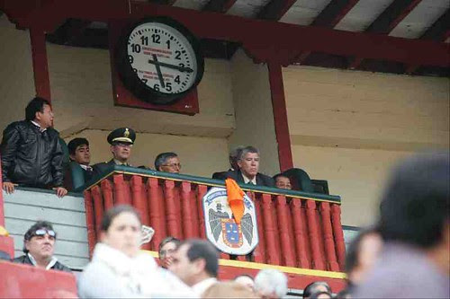 ACHO TOROS 06