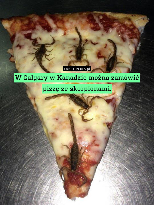 W Calgary w Kanadzie można zamówić – W Calgary w Kanadzie można zamówić
pizzę ze skorpionami. 