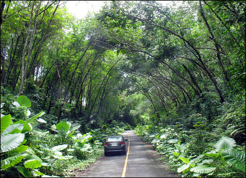 Road on Sirey Island