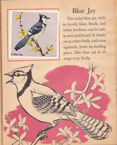 Blue Jay page (Little Golden Activity Book: Bird Stamps)