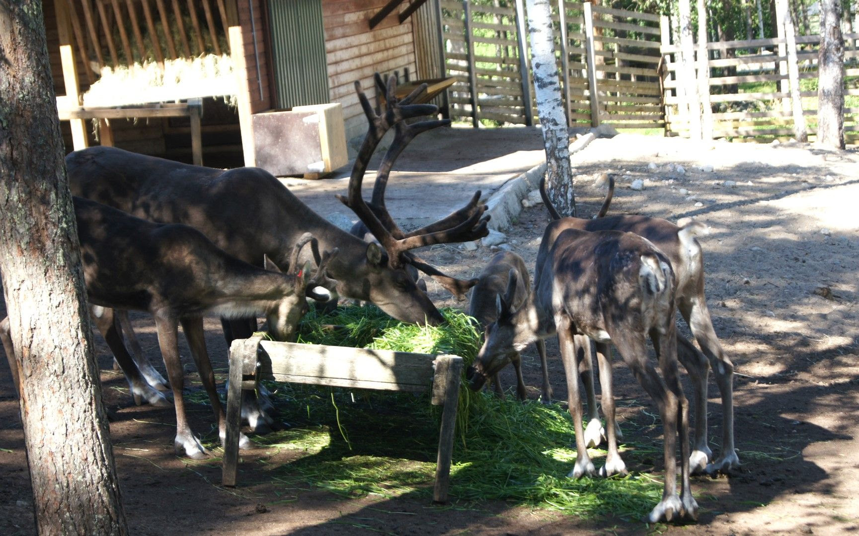 photo DSC03640Large.jpg