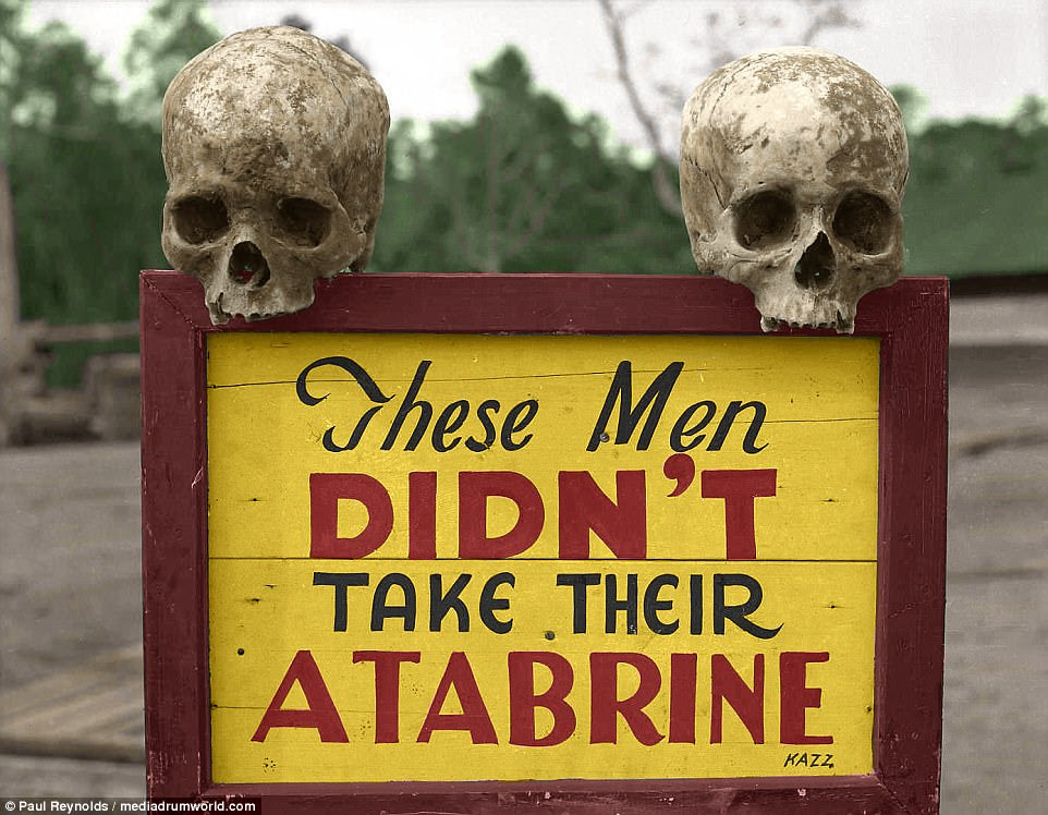 Two skulls rested on top of a warning sign at the US Army's 363rd Station Hospital at Port Moresby, Papua New Guinea during World War II. Also known as quinacrine and mepacrine, the drug atabrine acts against the protozoan that causes malaria