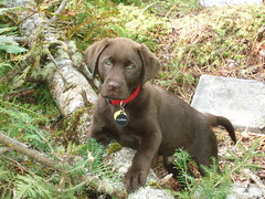 Hudson