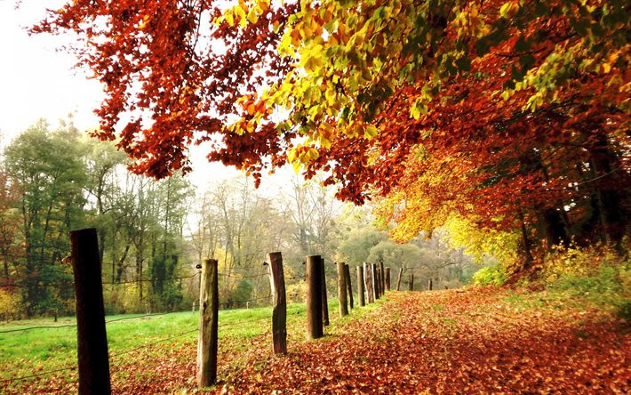 30 Schone Hintergrundbilder Herbst Besten Bilder Von Ausmalbilder