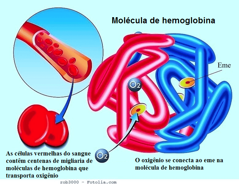 Recomeçar: Hemoglobina Alta