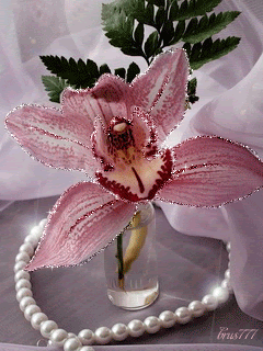 Орхидея с бусами