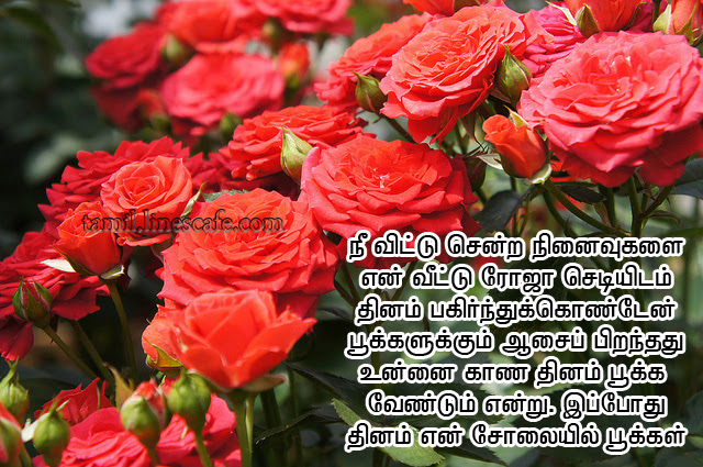 26 Awesome Rose Flower Kavithai In Tamil