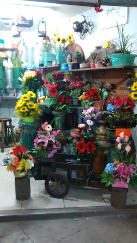 Florería Millefiori - Lima