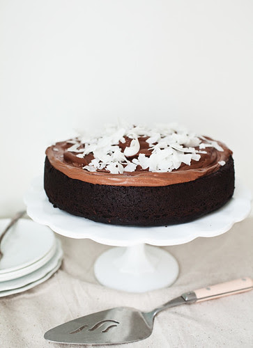 chocolate and coconut cake 