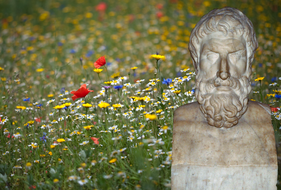 Stumbling upon happiness in the garden of Epicurus? Flowers: Tim Daniels.