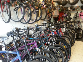 Cicle Fernando