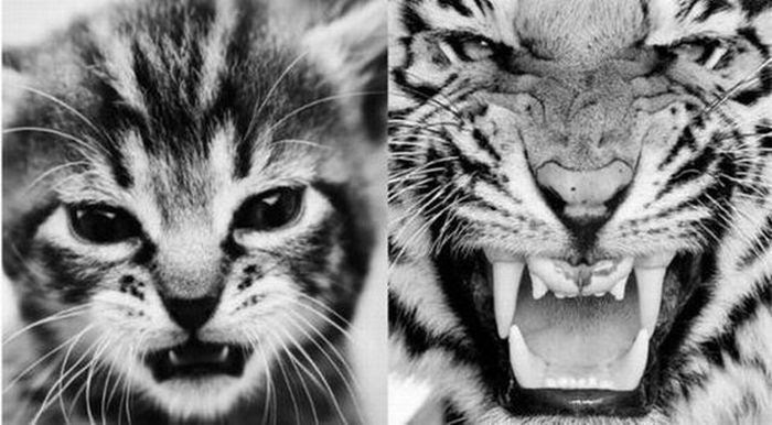 Collection of emotional pictures. Part 18 (40 photos) Collection of emotional pictures. Part 18 (40 photos)